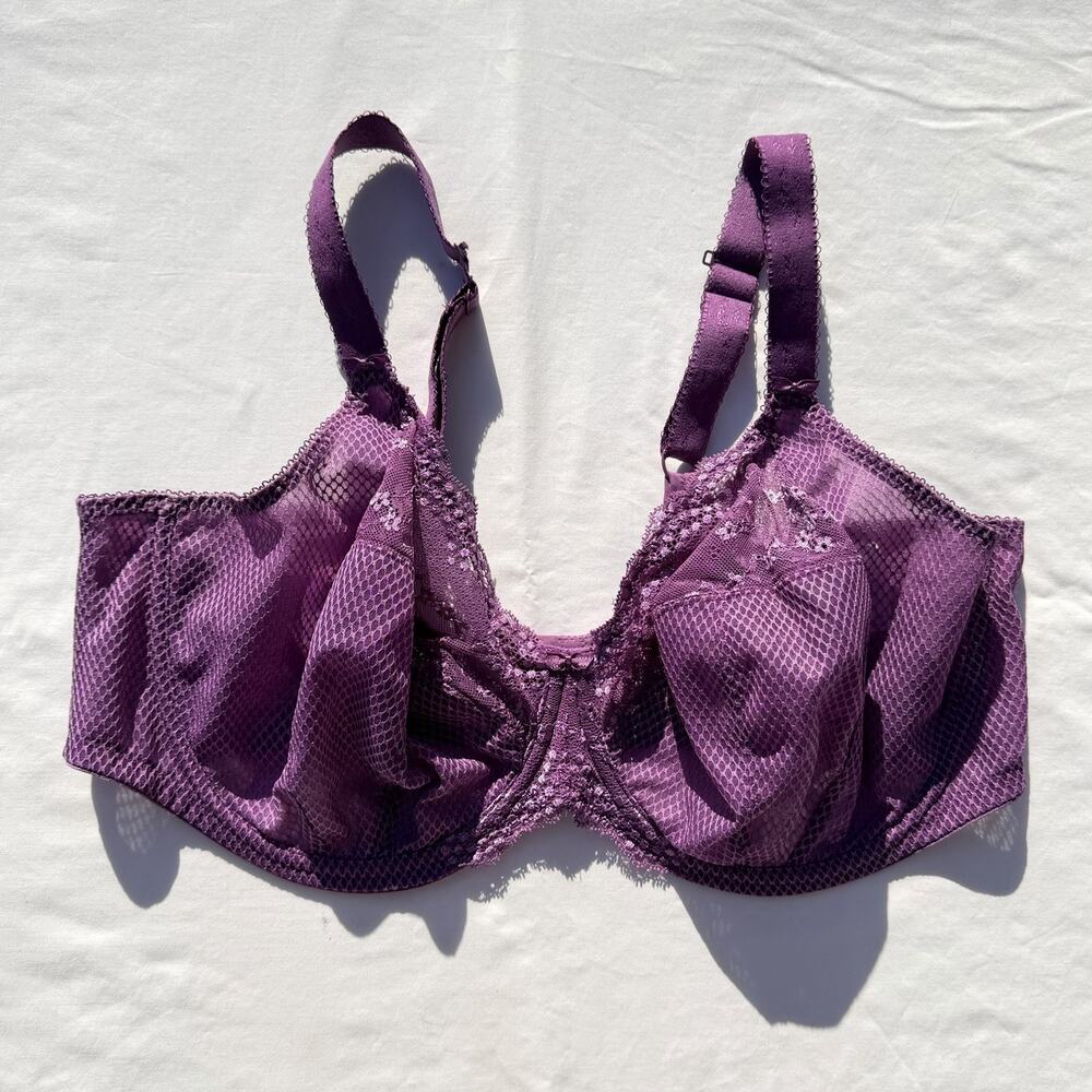 Elomi Charley Plunge Bra 44I Pansy Purple EL4382 44i Underwire